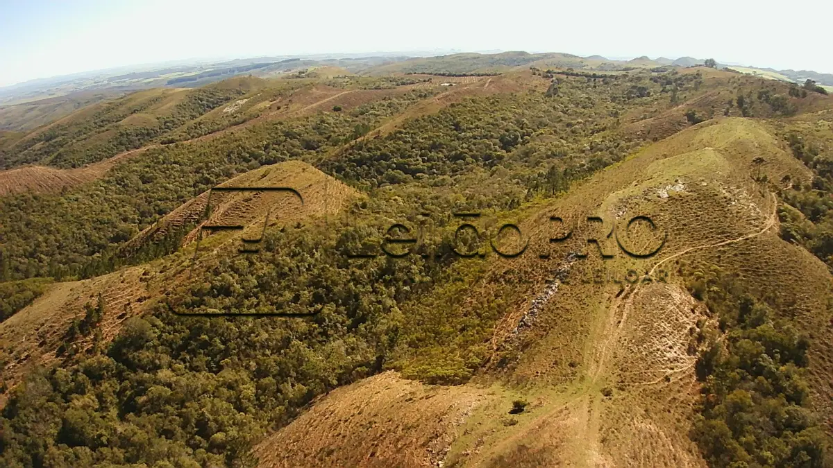 LOTE 002 - campo